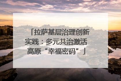 拉萨基层治理创新实践：多元共治激活高原“幸福密码”