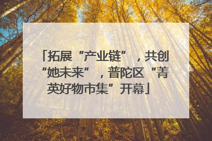 拓展“产业链”，共创“她未来”，普陀区“菁英好物市集”开幕