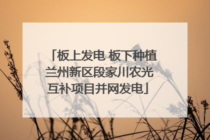 板上发电 板下种植 兰州新区段家川农光互补项目并网发电