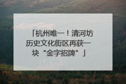 杭州唯一！清河坊历史文化街区再获一块“金字招牌”