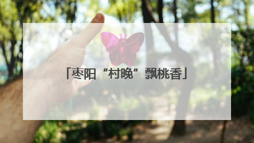 枣阳“村晚”飘桃香