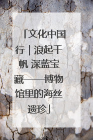 文化中国行｜浪起千帆 深蓝宝藏——博物馆里的海丝遗珍