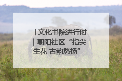 文化书院进行时｜朝阳社区“指尖生花 古韵悠扬”公益课堂开课了