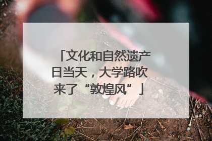 文化和自然遗产日当天，大学路吹来了“敦煌风”
