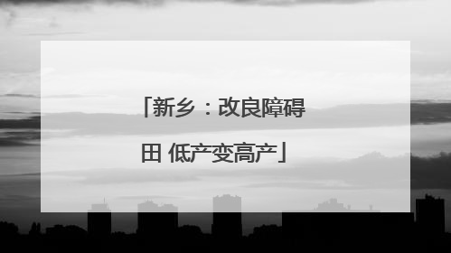 新乡：改良障碍田 低产变高产