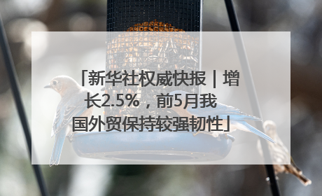 新华社权威快报｜增长2.5%，前5月我国外贸保持较强韧性
