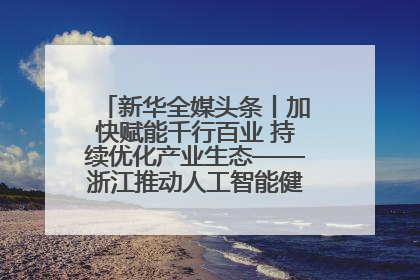 新华全媒头条丨加快赋能千行百业 持续优化产业生态——浙江推动人工智能健康有序发展观察