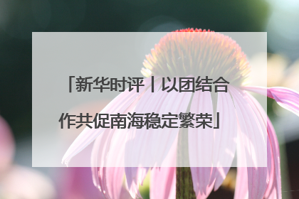 新华时评丨以团结合作共促南海稳定繁荣