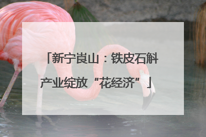 新宁崀山：铁皮石斛产业绽放“花经济”