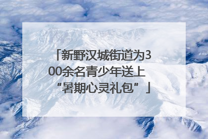 新野汉城街道为300余名青少年送上“暑期心灵礼包”