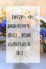 时评：中越旅客列车重启，跨越山海共赴未来