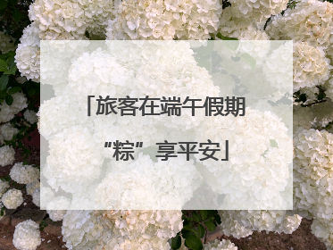 旅客在端午假期“粽”享平安