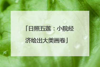 日照五莲：小院经济绘出大美画卷