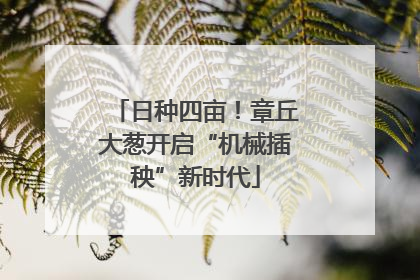 日种四亩！章丘大葱开启“机械插秧”新时代