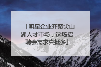 明星企业齐聚尖山湖人才市场，这场招聘会需求真挺多