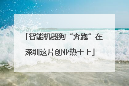 智能机器狗“奔跑”在深圳这片创业热土上