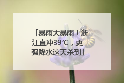 暴雨大暴雨！浙江直冲39℃，更强降水这天杀到