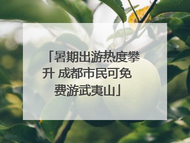 暑期出游热度攀升 成都市民可免费游武夷山