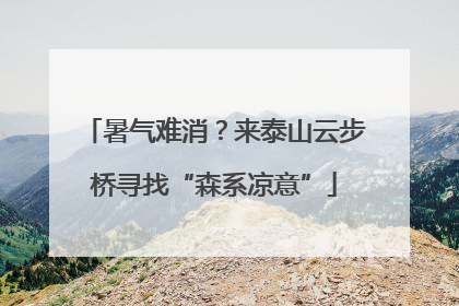 暑气难消？来泰山云步桥寻找“森系凉意”
