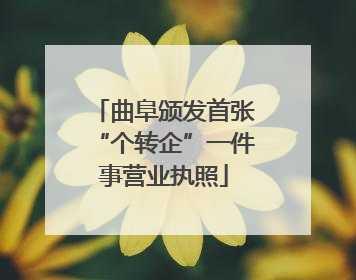 曲阜颁发首张“个转企”一件事营业执照
