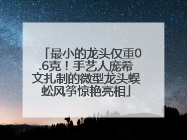 最小的龙头仅重0.6克！手艺人庞希文扎制的微型龙头蜈蚣风筝惊艳亮相