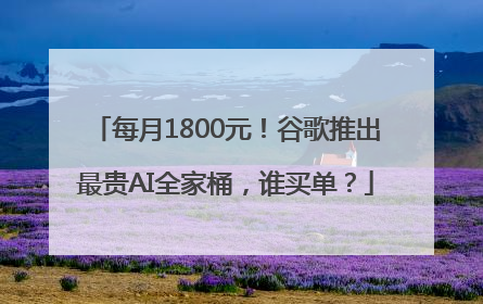 每月1800元！谷歌推出最贵AI全家桶，谁买单？
