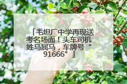 毛坦厂中学再现送考名场面！头车司机姓马属马，车牌号“91666”