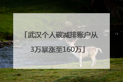 武汉个人碳减排账户从3万暴涨至160万