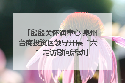 殷殷关怀润童心 泉州台商投资区领导开展“六一”走访慰问活动