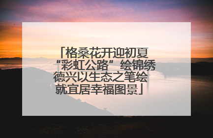 格桑花开迎初夏 “彩虹公路”绘锦绣 德兴以生态之笔绘就宜居幸福图景