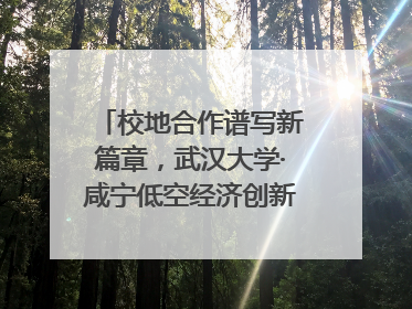 校地合作谱写新篇章，武汉大学·咸宁低空经济创新研究院签约成立