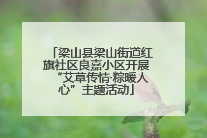 梁山县梁山街道红旗社区良嘉小区开展“艾草传情·粽暖人心”主题活动
