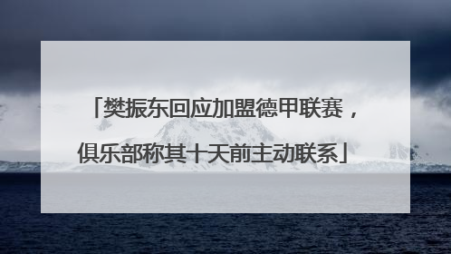 樊振东回应加盟德甲联赛，俱乐部称其十天前主动联系