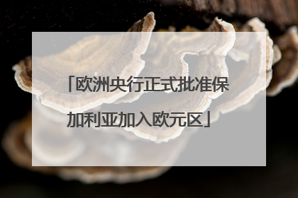 欧洲央行正式批准保加利亚加入欧元区