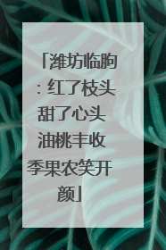 潍坊临朐：红了枝头 甜了心头 油桃丰收季果农笑开颜