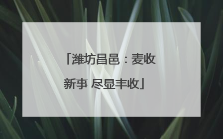 潍坊昌邑：麦收新事 尽显丰收