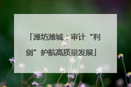 潍坊潍城：审计“利剑”护航高质量发展