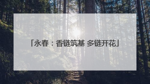 永春：香链筑基 多链开花