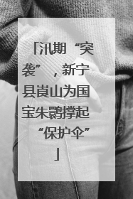 汛期“突袭”，新宁县崀山为国宝朱鹮撑起“保护伞”