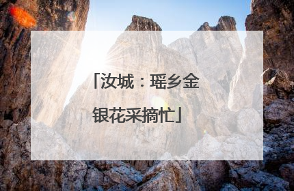 汝城：瑶乡金银花采摘忙