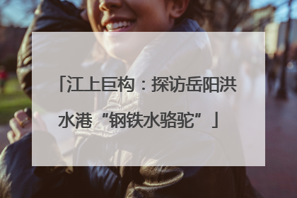 江上巨构：探访岳阳洪水港“钢铁水骆驼”