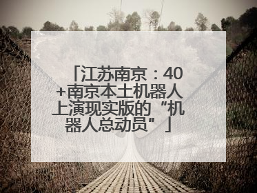 江苏南京：40+南京本土机器人上演现实版的“机器人总动员”