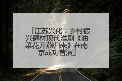 江苏兴化：乡村振兴题材现代淮剧《油菜花开燕归来》在南京成功首演