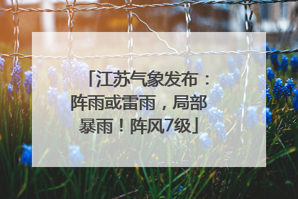 江苏气象发布：阵雨或雷雨，局部暴雨！阵风7级