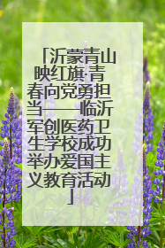 沂蒙青山映红旗·青春向党勇担当——临沂军创医药卫生学校成功举办爱国主义教育活动
