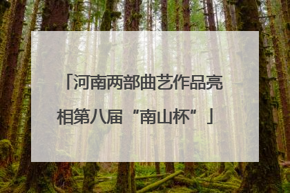 河南两部曲艺作品亮相第八届“南山杯”