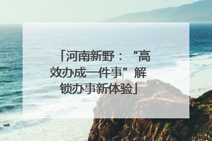 河南新野：“高效办成一件事”解锁办事新体验
