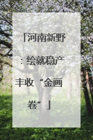 河南新野：绘就稳产丰收“金画卷”