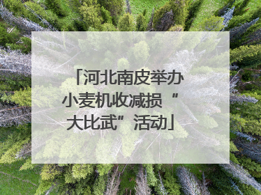河北南皮举办小麦机收减损“大比武”活动