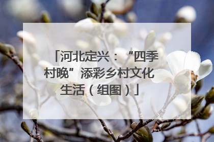 河北定兴：“四季村晚”添彩乡村文化生活（组图）